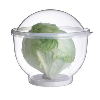 Lettuce Crisper