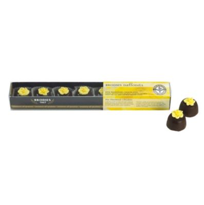 Brodies Chocolate Daffodils