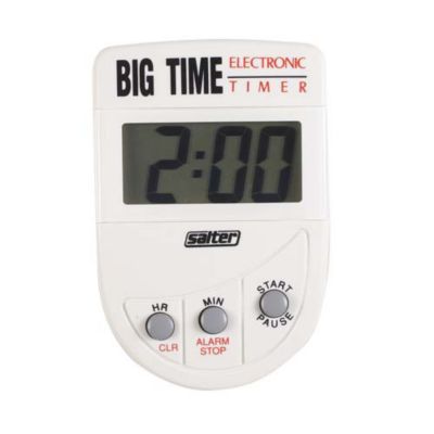 Salter Big Timer