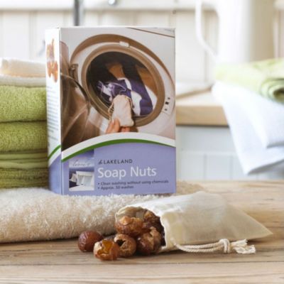 Soap Nuts