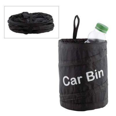 Collapsible car bin