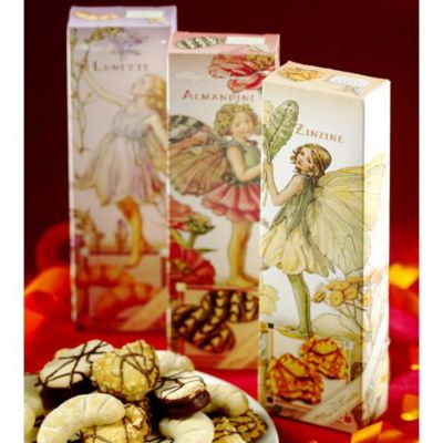 Flower Fairies Fancies
