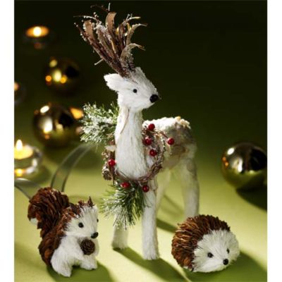Woodland Companions