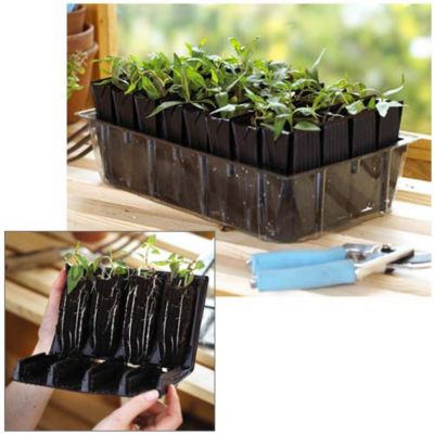 Deep Root Trainers