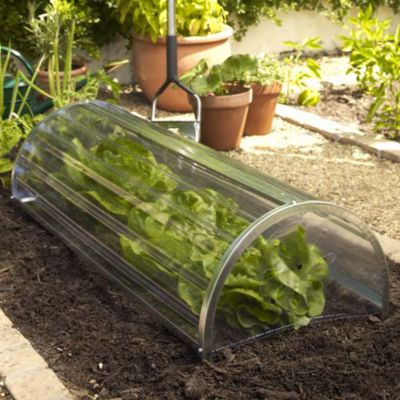 Longrow Super Cloche