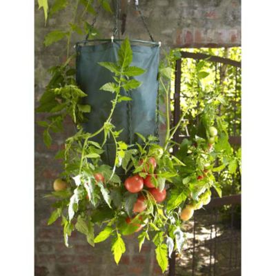 Upside Down Tomato Planters