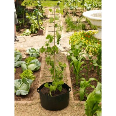 Bean Planter