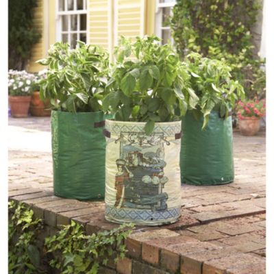 Potato Planter Trio