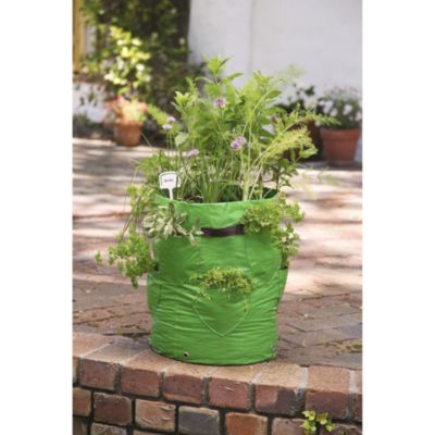 Herb Planter Duo
