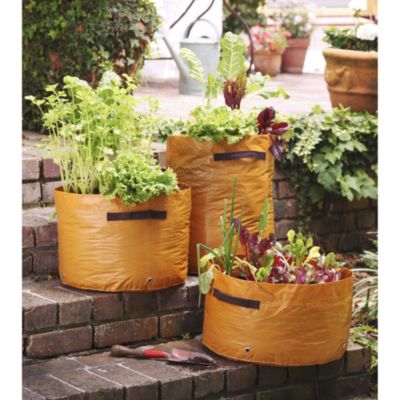 Vegetable Planter Trio