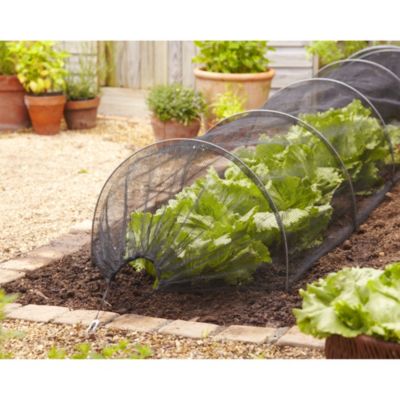 Net Grow Tunnel